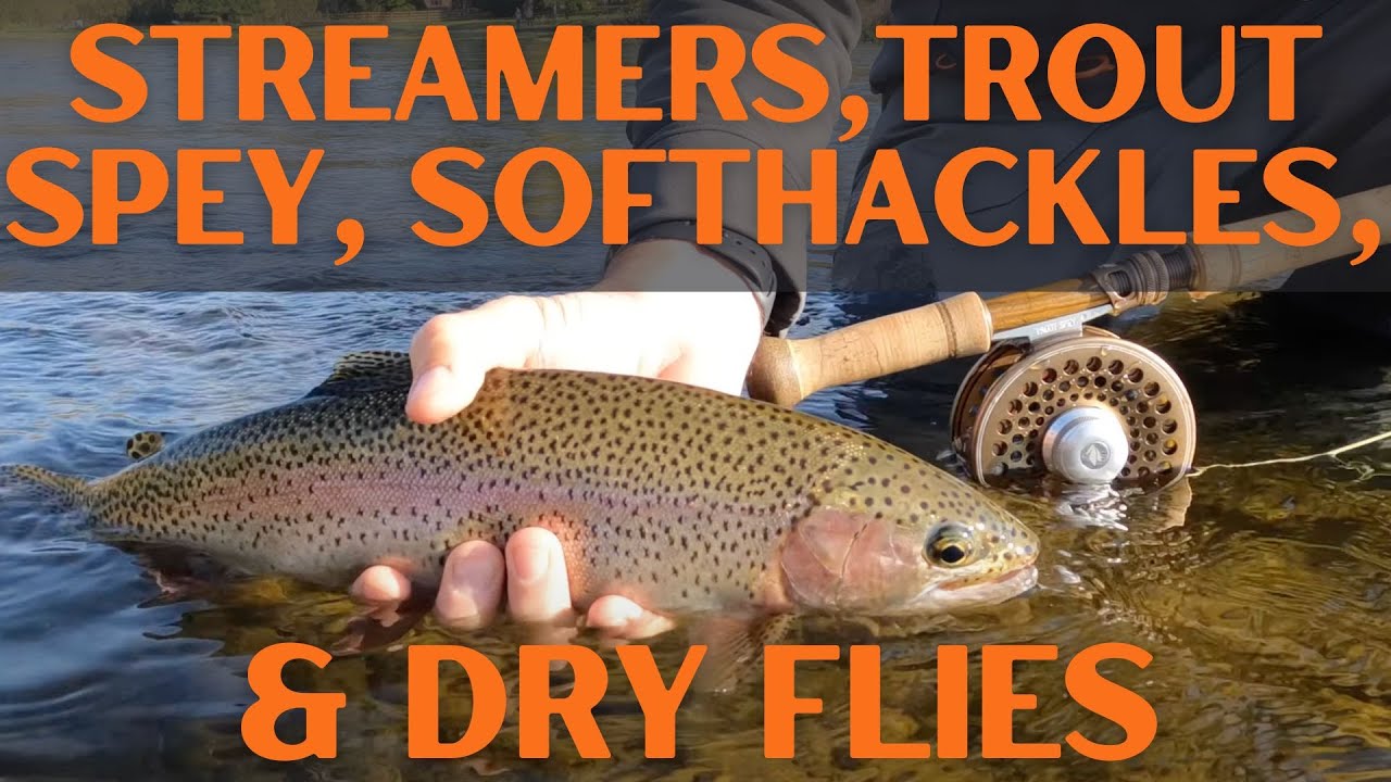 1wt trout spey w/ softhackles, streamer fishing, & dry flies - Missouri River Fall 2022 Trip Part 3