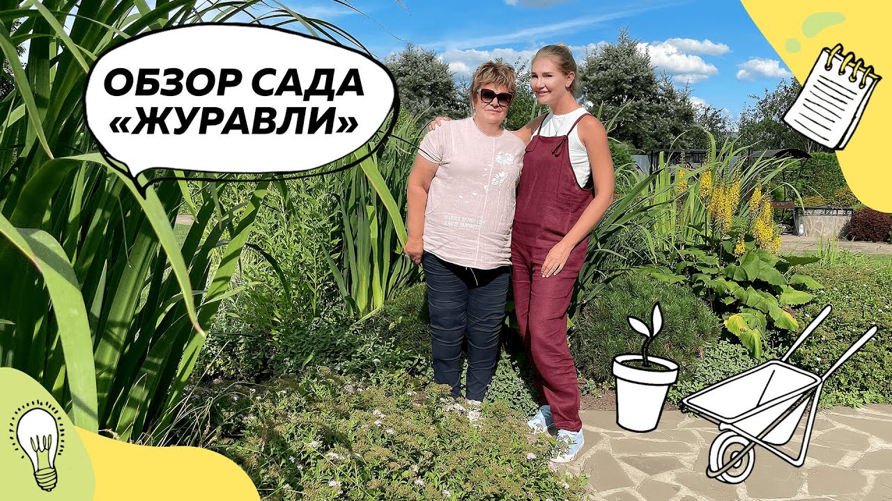 Обзор сада 