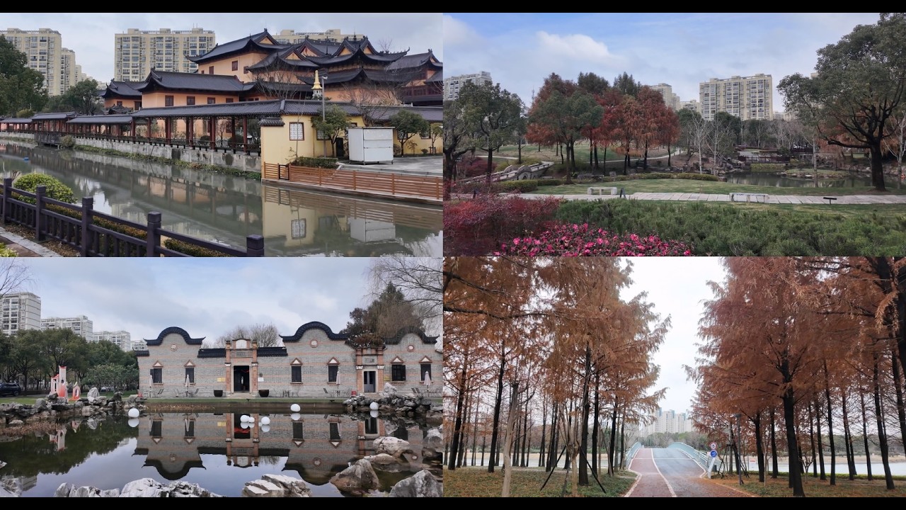 森兰绿地冬跑浦东牡丹园 4K virtual run Sunland 跑步机风景vlog 赵家沟 宝莲庵 高行镇 外高桥 上海跑步路线 260131 citywalk 马拉松 助眠 减肥 第一视角