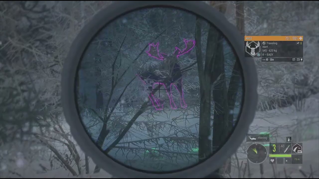 theHunter: Call of the Wild_20260209004739