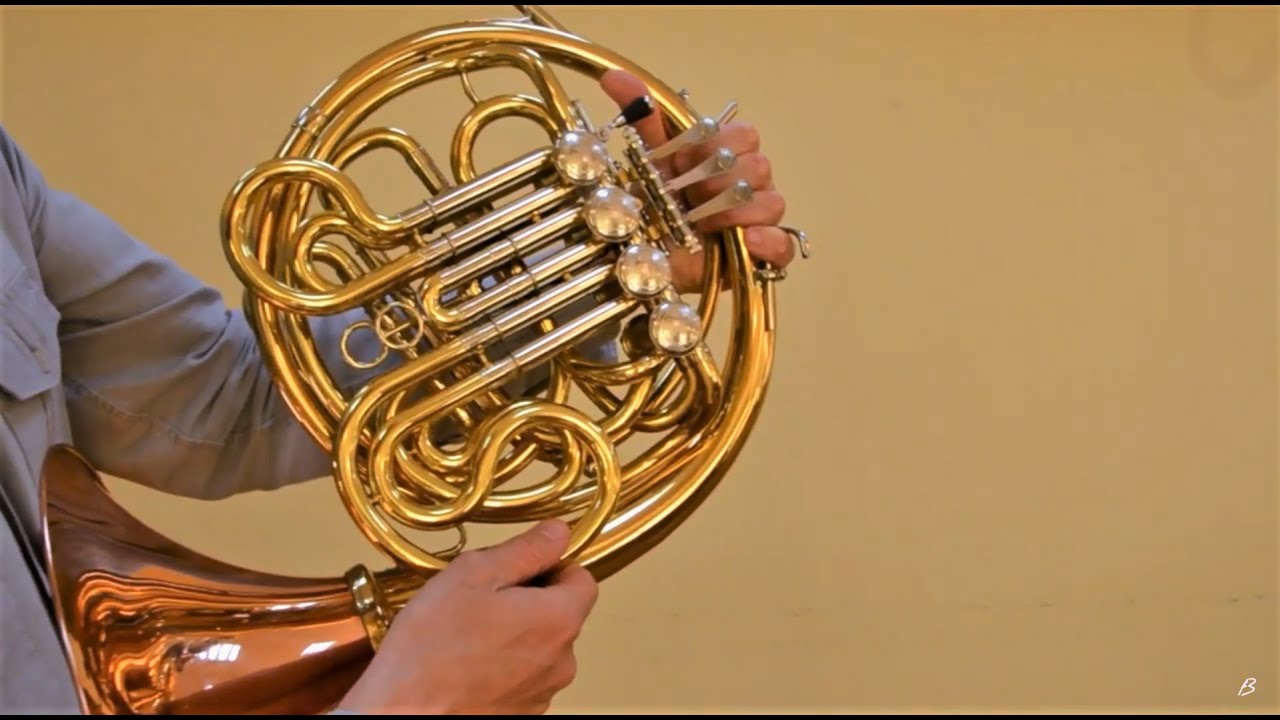 #PoznajInstrument - waltornia