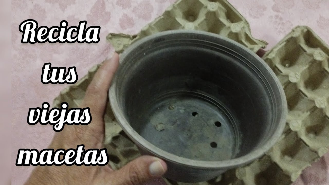 Recicla viejas macetas usando cartones de huevos y cemento.♻️🖌️🪴