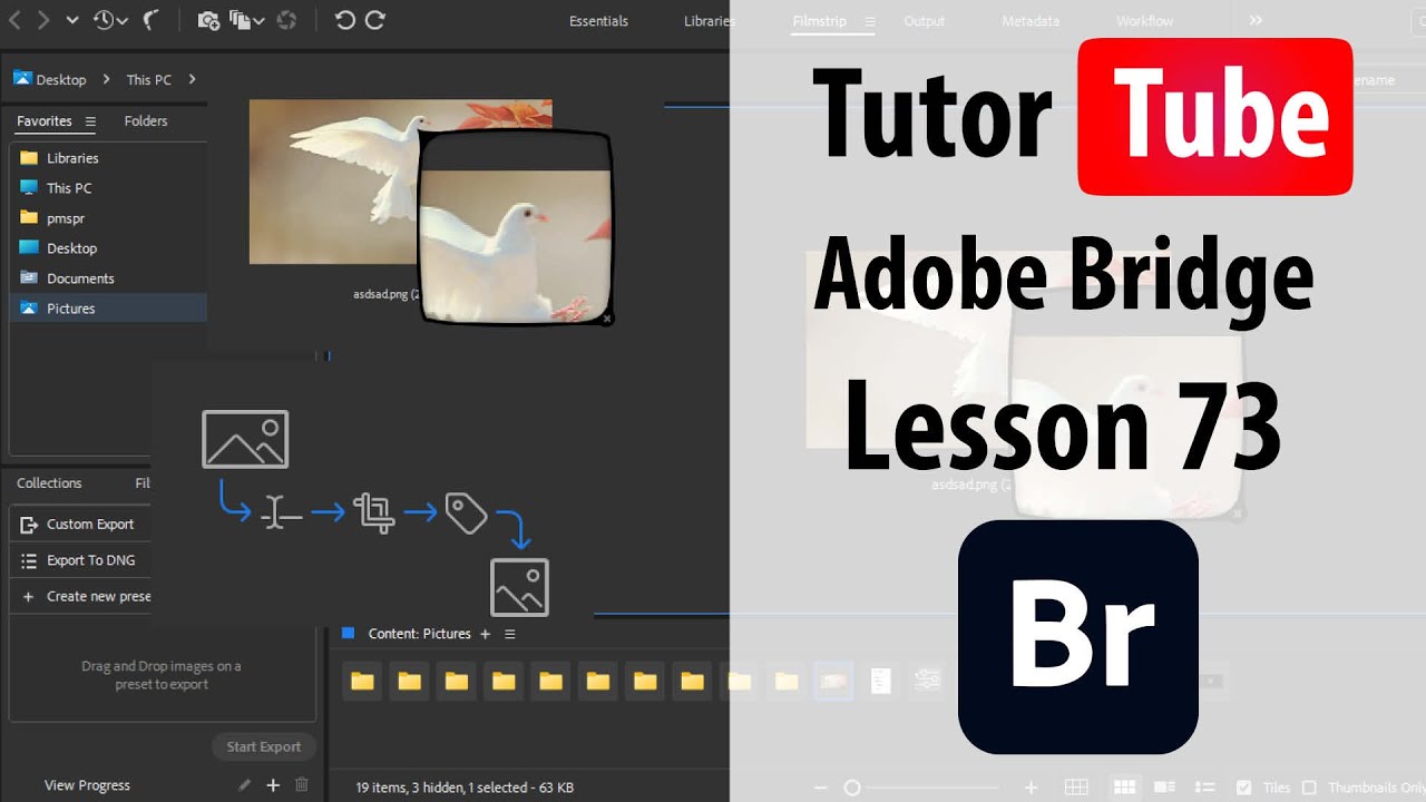 Adobe Bridge - Lesson 73 - Keywords Workspace