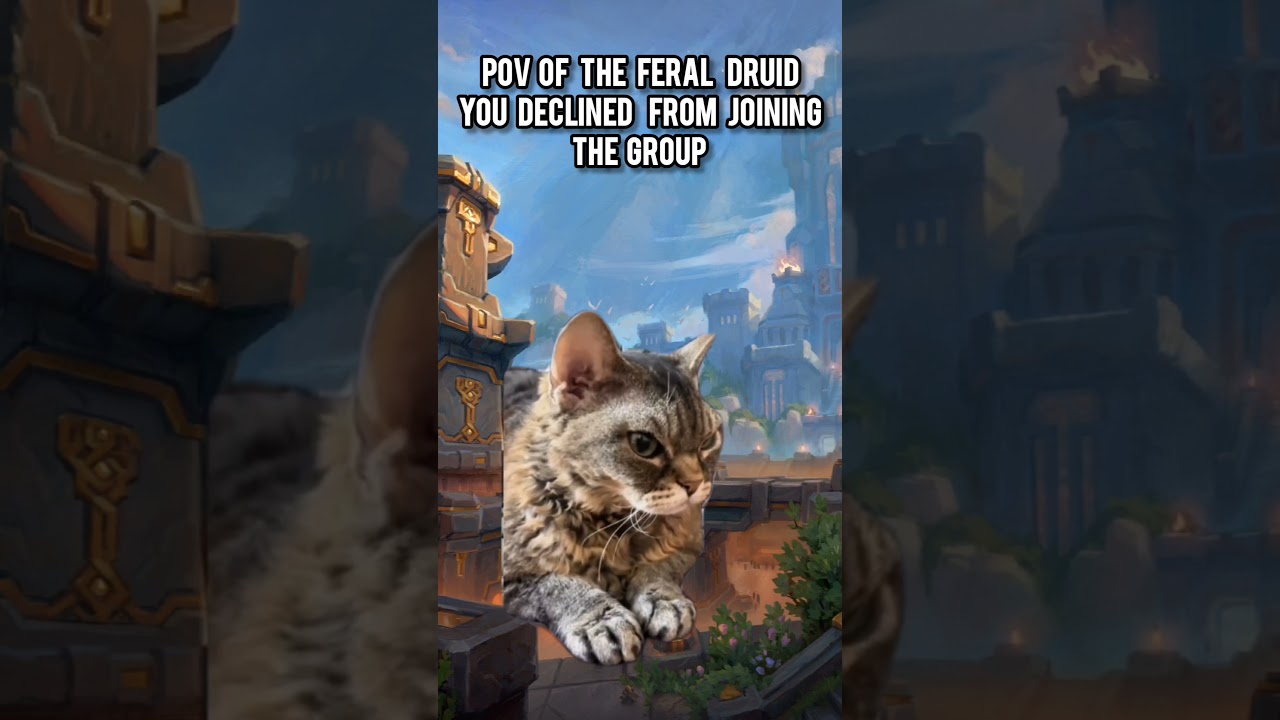 Pov of the feral druid you declined #wow #worldofwarcraft #warcraft