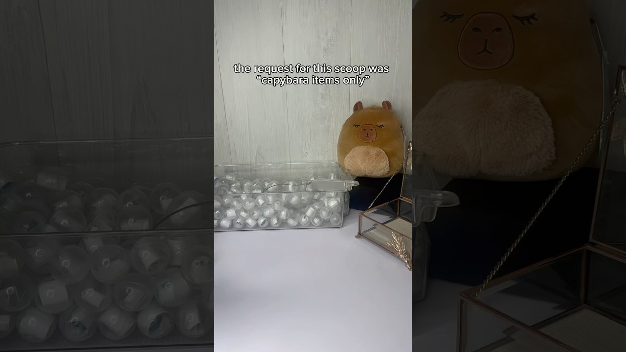 capybara 🧡🍊 #asmr #fidgets #haul #haul #unboxing #smallbusiness