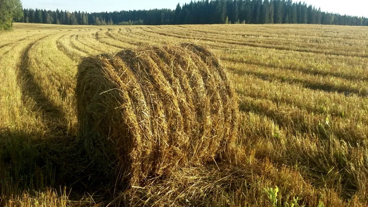Oi Jeesus Kiitos Nimellesi Sun