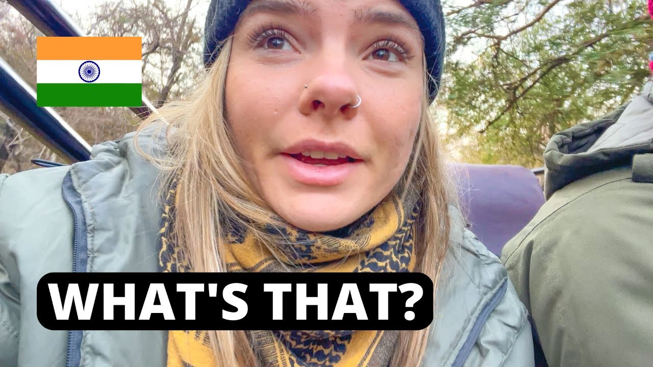 SAFARI in RANTHAMBORE TIGER RESERVE + Ranthambore Fort! 🐅 (PART 3)