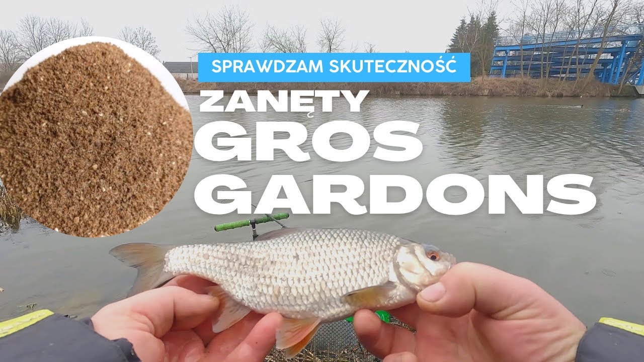 POLOWANIE NA PŁOĆ - TEST GROS GARDONS