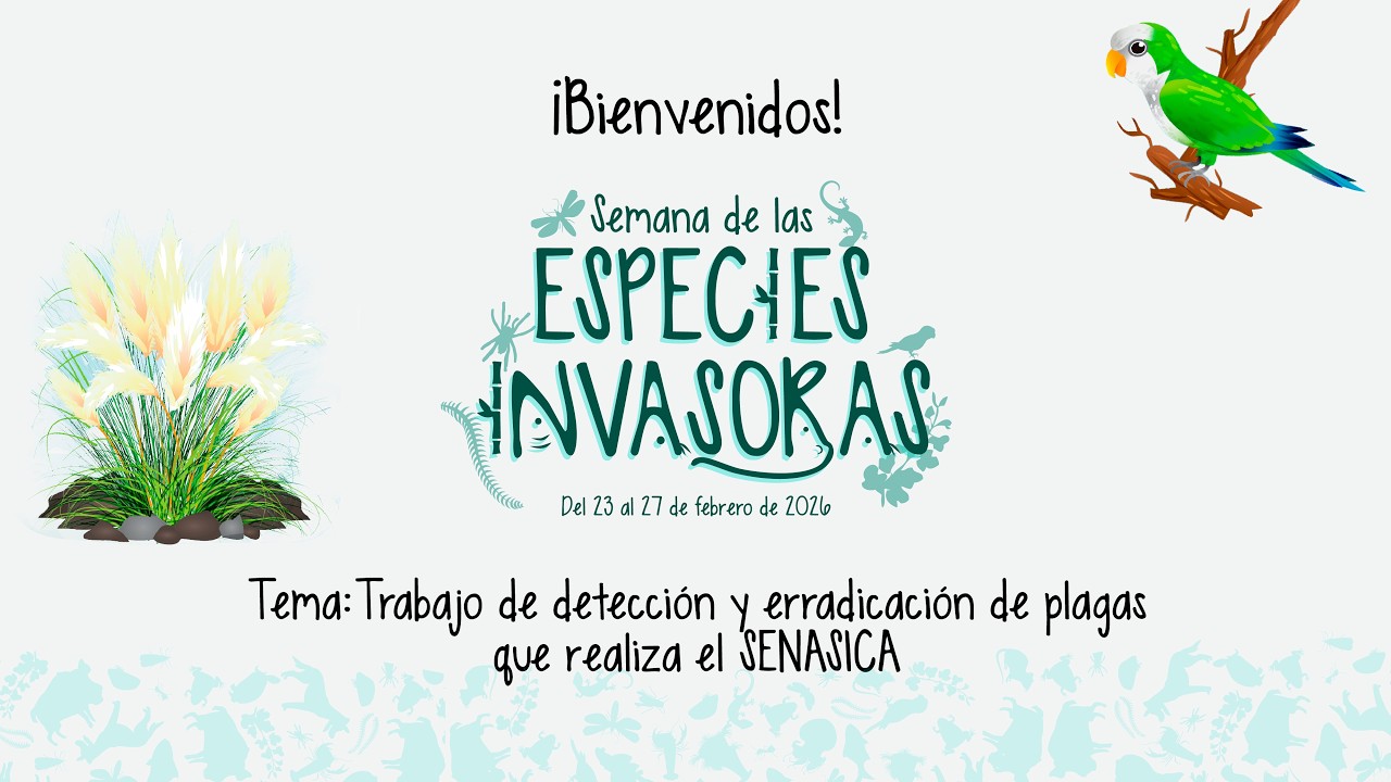 3 Webinar SENASICA