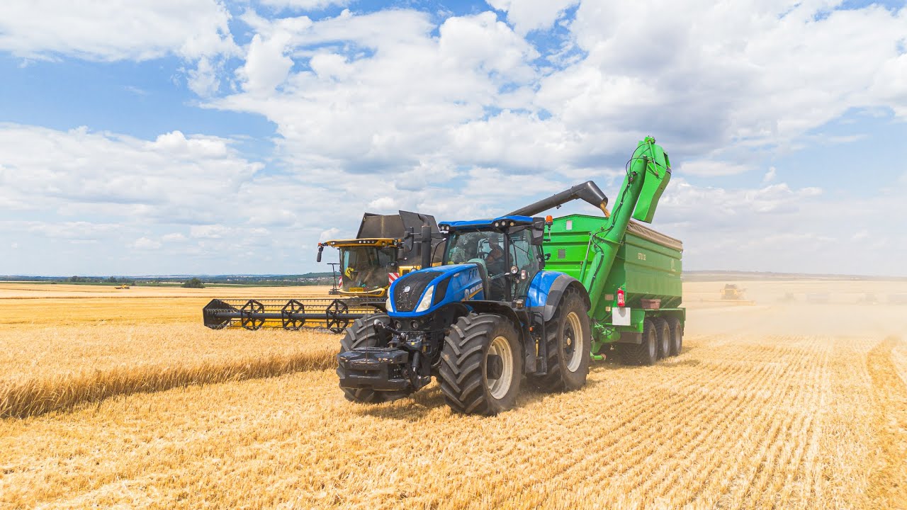 BIG HARVEST 2025 - Buona s.r.o.