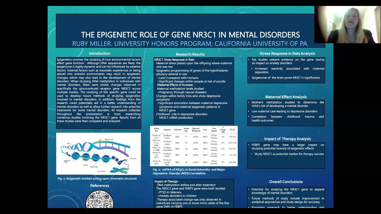 Epigenetic Effects on Mental Disorders Involving Gene NR3C1