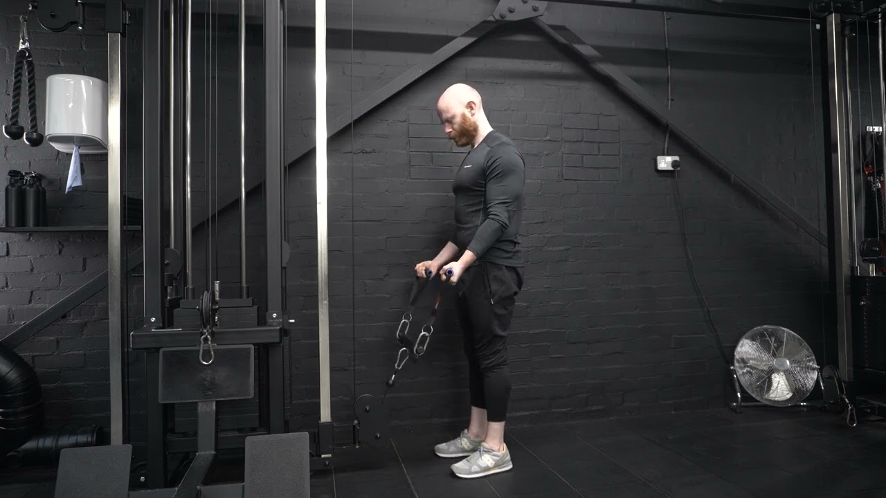 Prime Splitter D-Handle Cable Bicep Curl