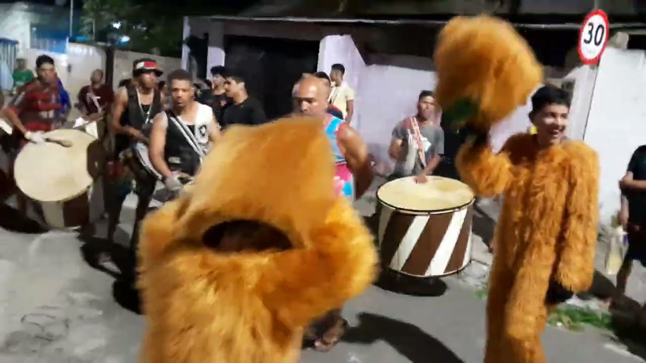 urso marrom teimoso no ritmo animado 2023