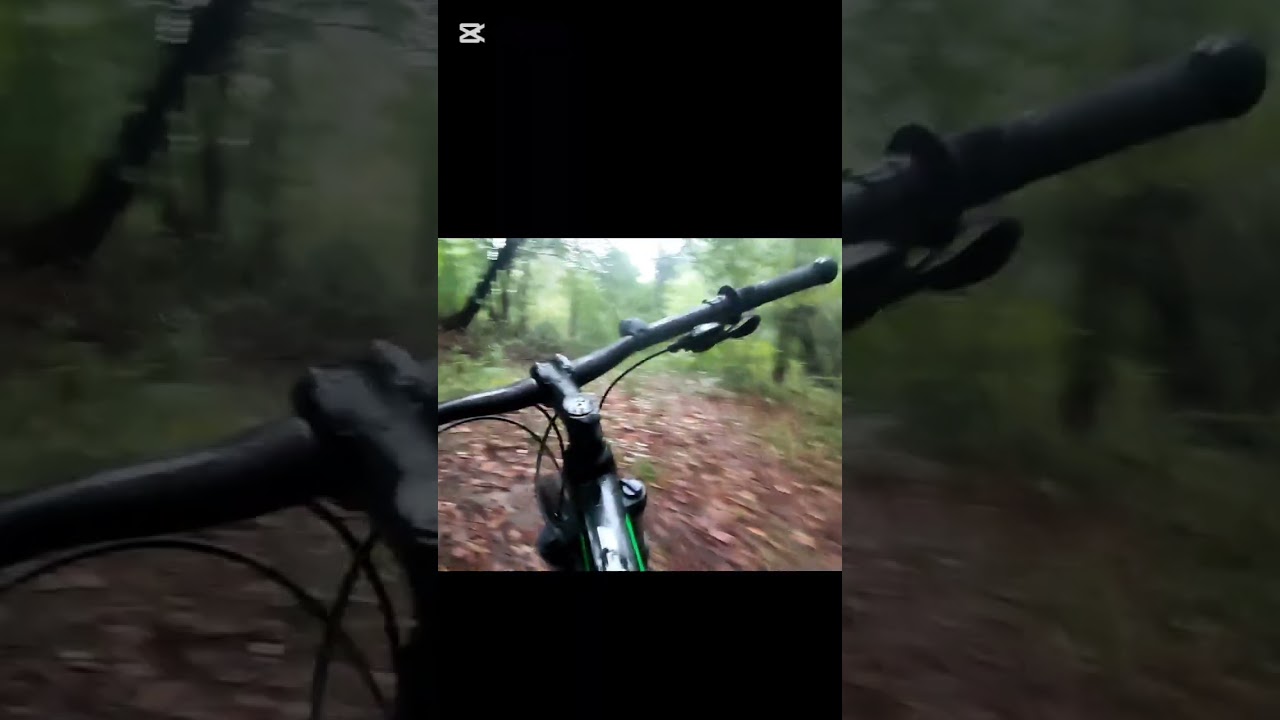Mocne jazdy leśne 🌲⛰️🌳