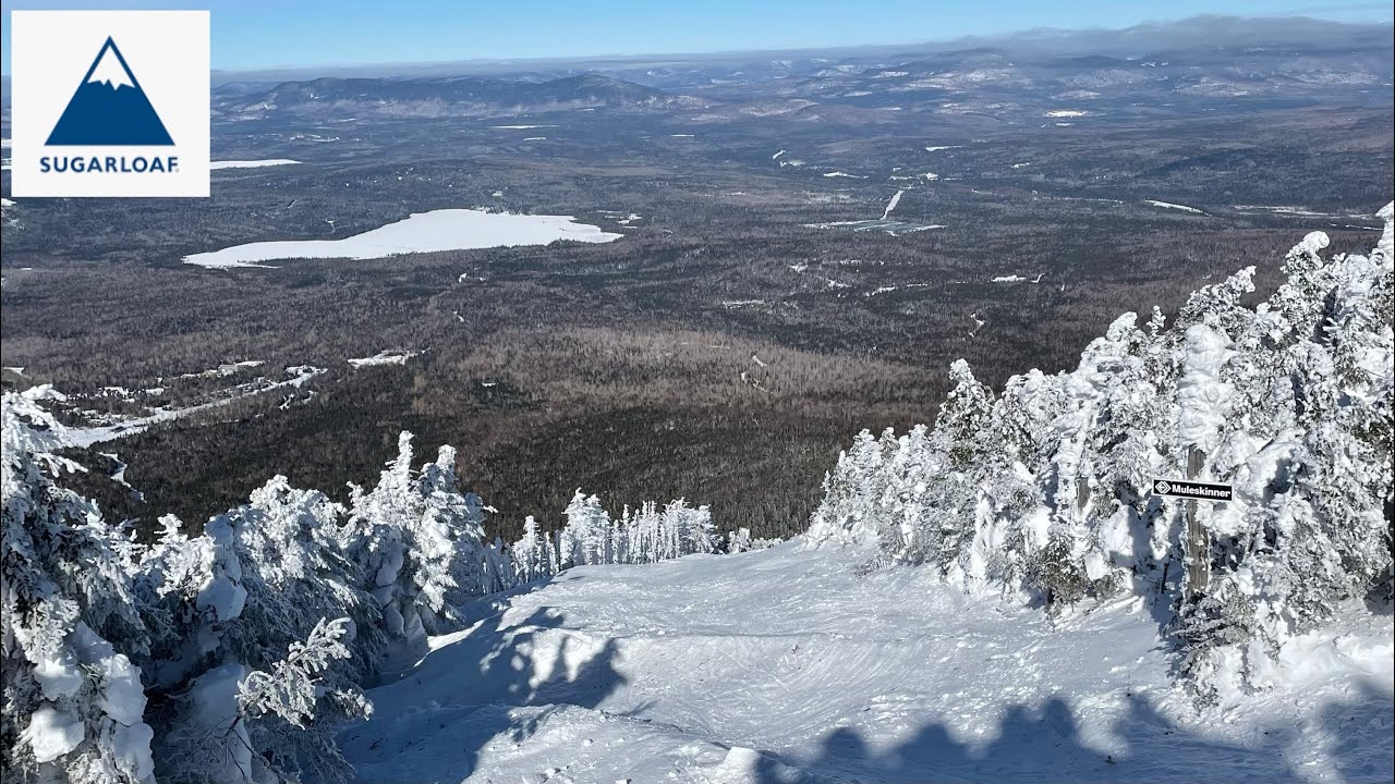 Skiing Glades at Sugarloaf || Maine/NH ski trip 2025