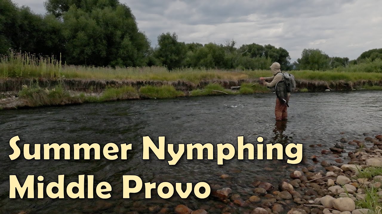 Fishing Nymphs For Some Provo River Trout