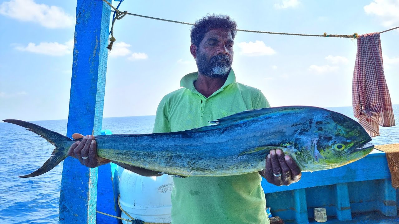 ருசீயான பரலா மீன் குழம்பு தேங்காய் சேர்த்து ஆழ்கடலில் வைத்தது|சுவையோ😋சுவை!!! Episode-25