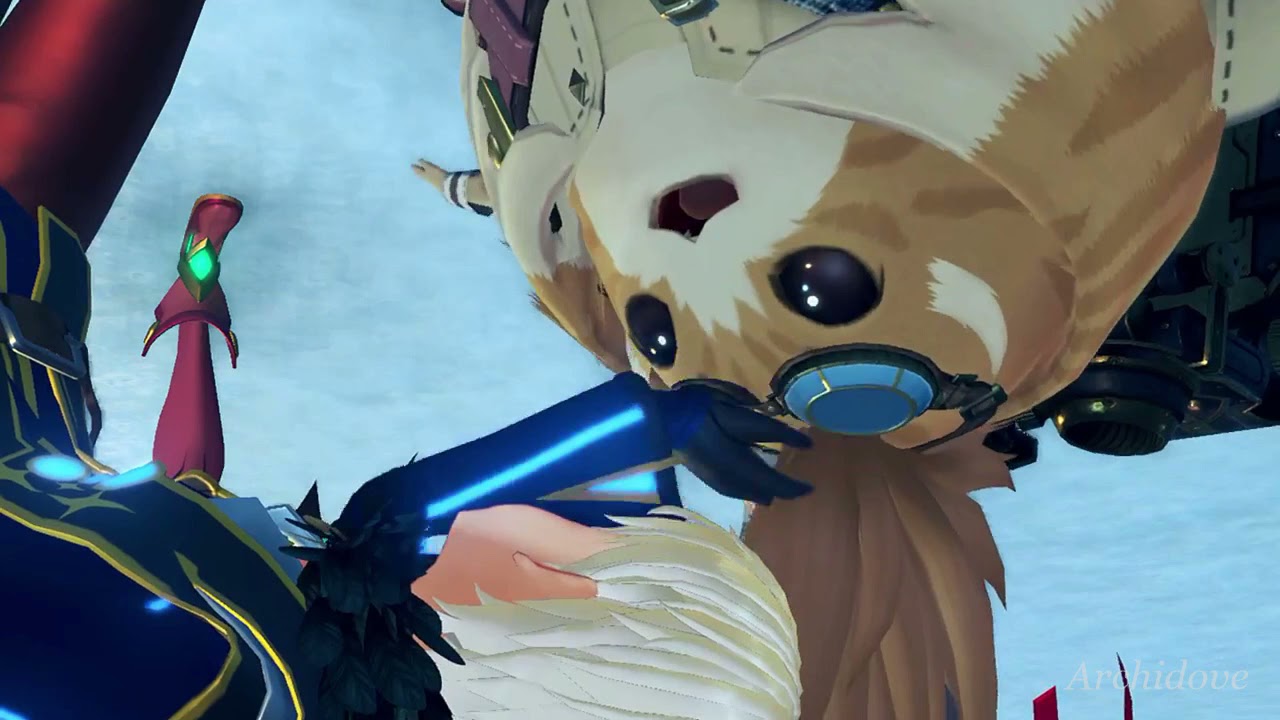 Pet the Tora