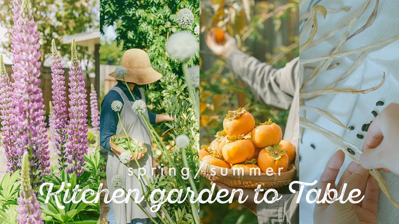 From kitchen garden to table: Spring/Summer - California Seasonal Cooking with backyard harvest