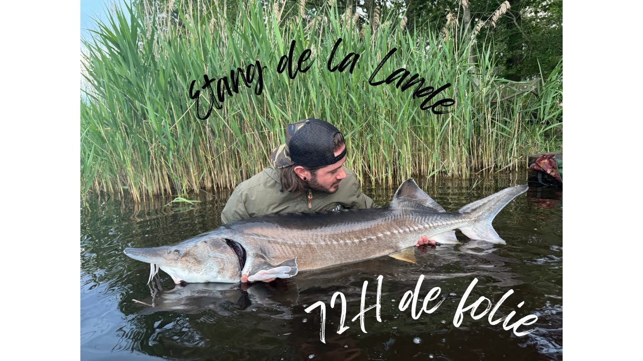 Pêche de la carpe - Session de folie à l'étang de la Lande