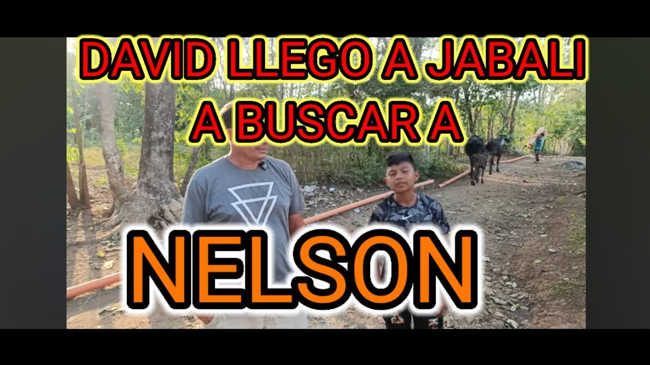 QUE HACE DAVID  EN JABALI BUSCANDO A NELSON 🚨😱😱😱‼️