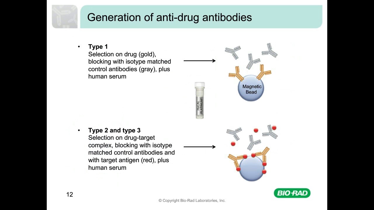 The Making of Recombinant Anti-Idiotypic Antibodies for High Performance in Bioanalytical Assays