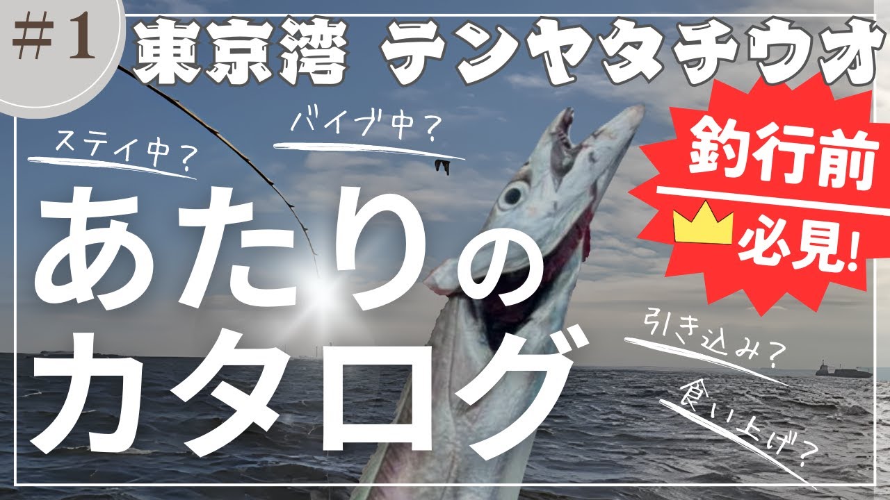 【テンヤ タチウオ】あたりのカタログ#1 バイブ中/ステイ中 × 食い上げ/引き込み【東京湾】