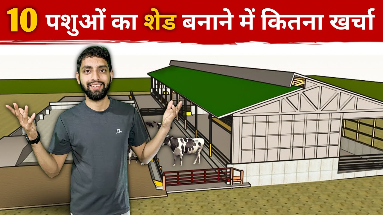 10 पशुओं का सस्ता डेयरी फार्म कैसे बनाये | Dairy Shed Construction Cost