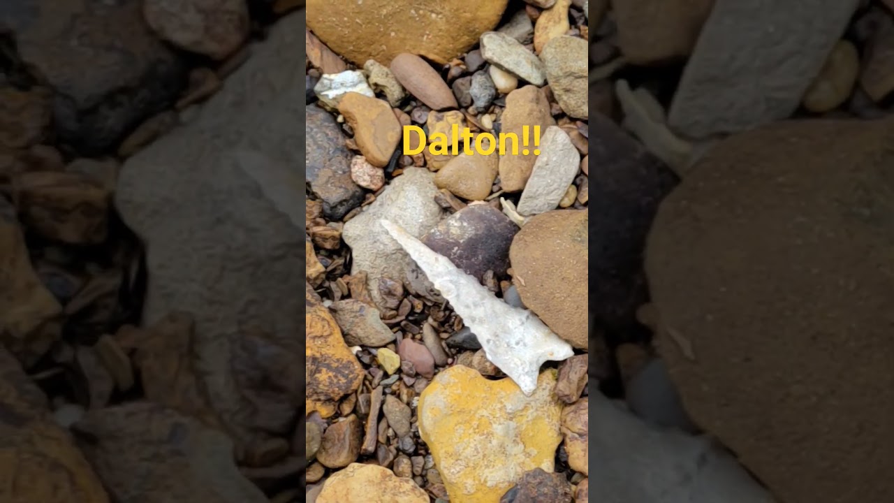 Arrowhead hunting Boone County, Mo and found a YEAR MAKER DALTON !!! #artifact #rockhounding