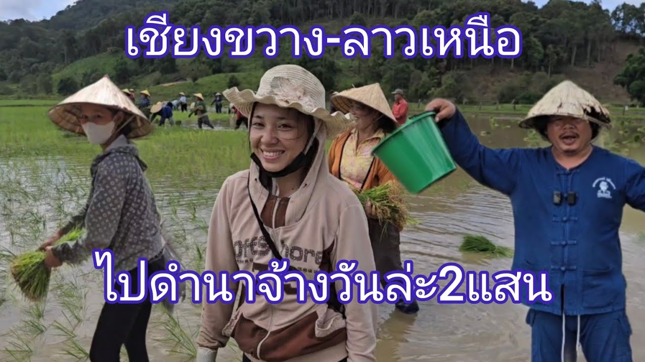 ไปดำนาจ้างวันล่ะ2แสน เส้นทาง เมืองโพนสะหวัน-วังเวียง #เที่ยวลาว #ลาวเหนือ #สาวลาว #สปปลาว