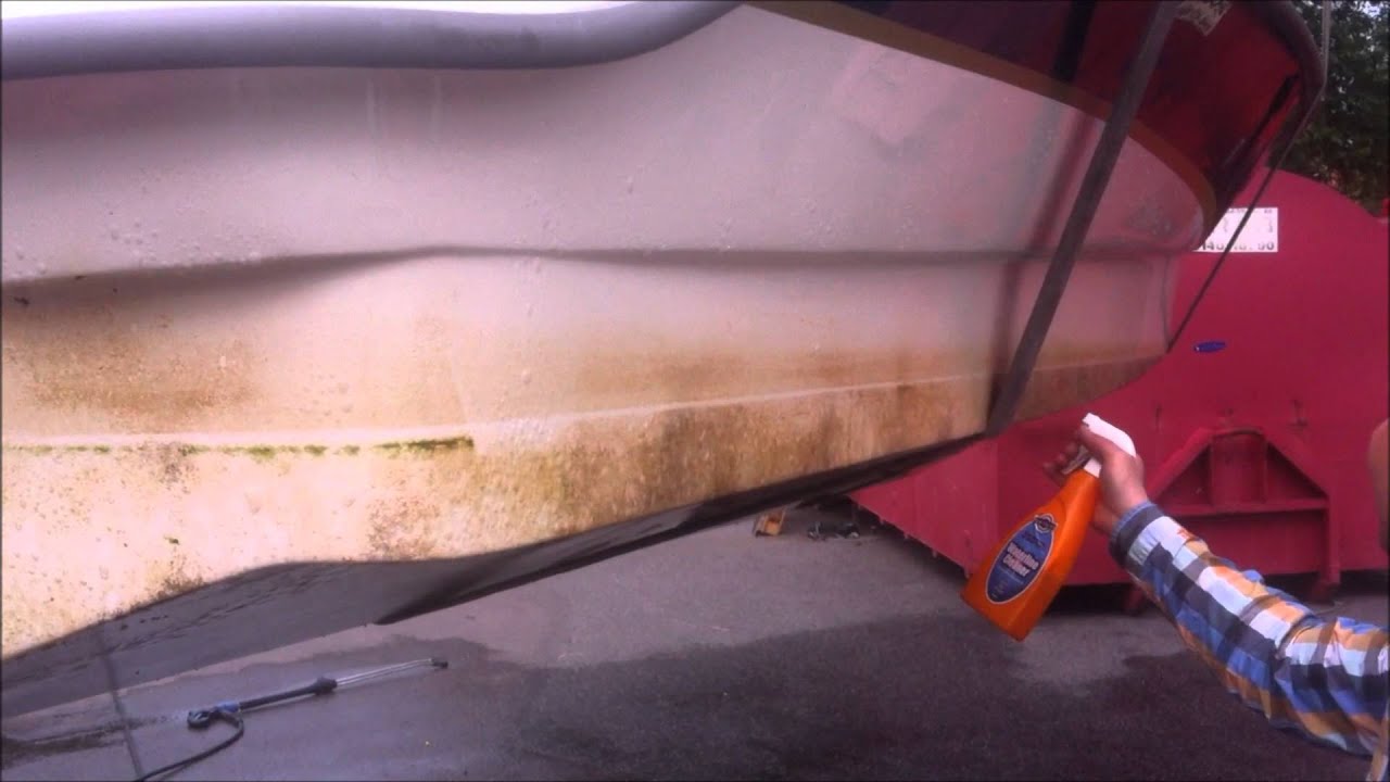 Sharkbite® Waterline Cleaner, Du har aldrig sett något liknande. Full version