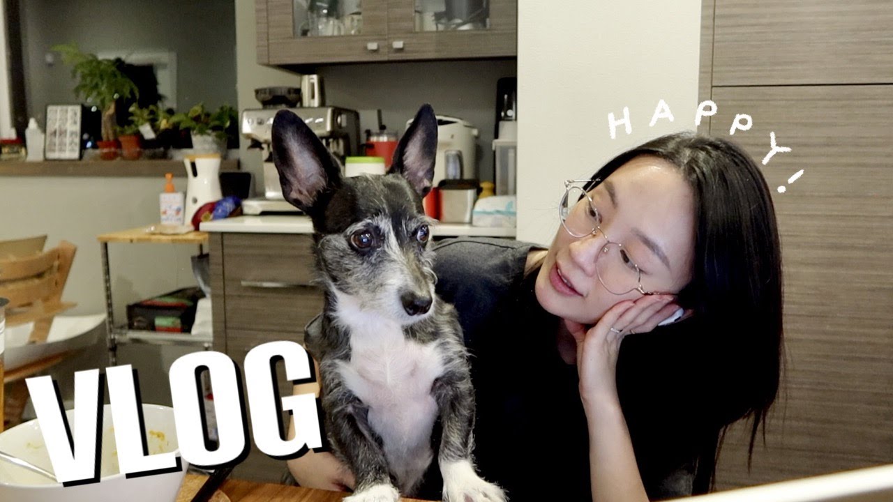 好像回到單身的那時候 👩🏻+🐶+🐶