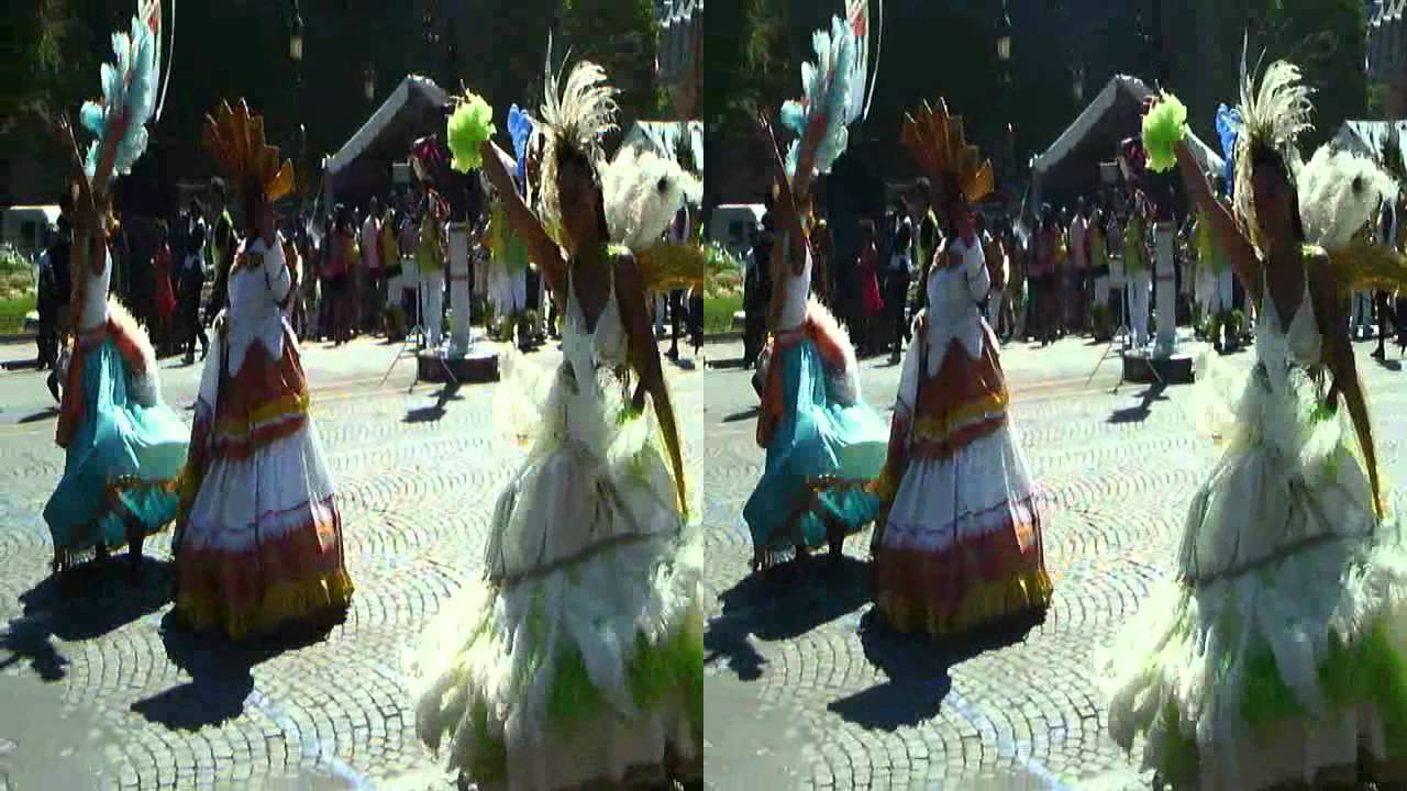 CARNAVAL TROPICAL DE PARIS 2011 en 3D #01