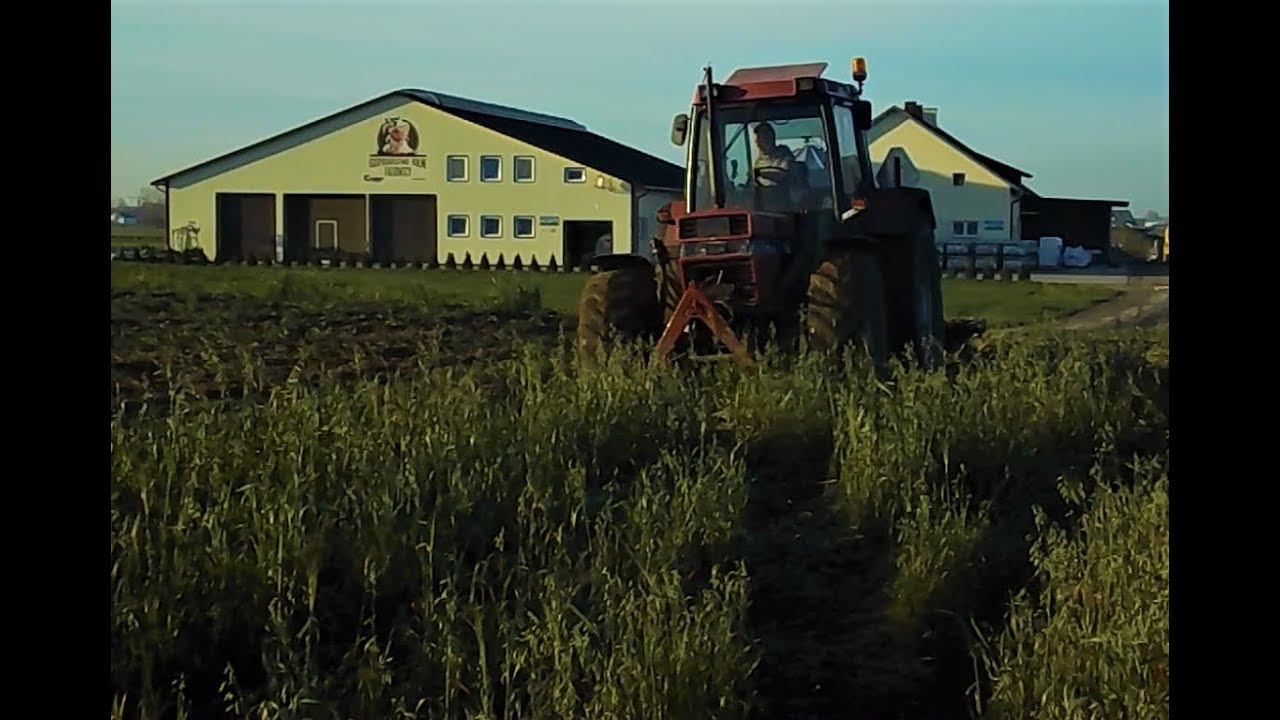 ✫Orka zimowa 2018 II Case 1056xl vs Unia Grudziądz 5x40 II Czy Case da radę ??