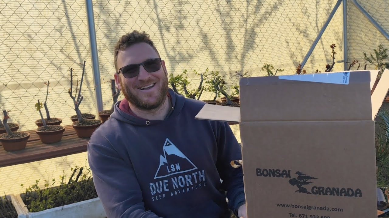 Nuevo árbol en el canal