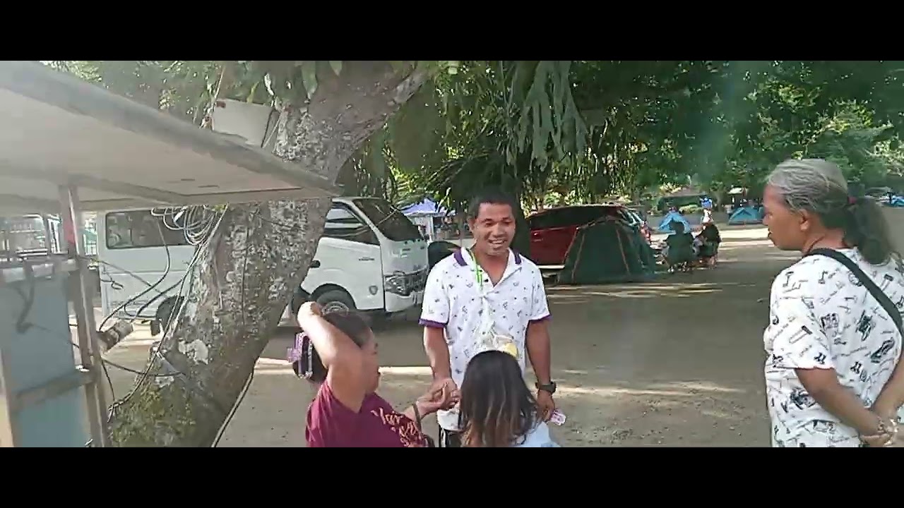 Full video sea eagle