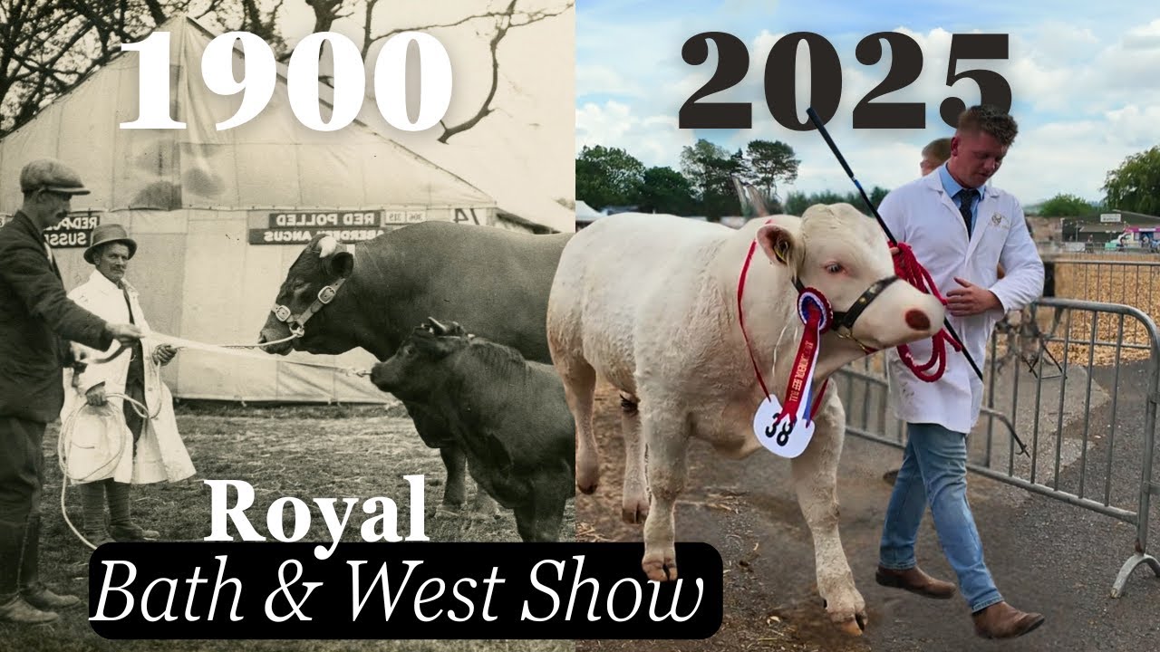 Royal Bath & West Show: The South West’s most iconic country tradition