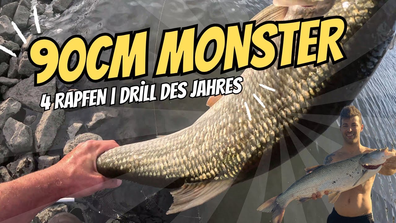 90cm MONSTER-RAPFEN beim Angeln an der Elbe! | 4 Rapfen auf Spoket & Drill des Jahres 🌊🎣