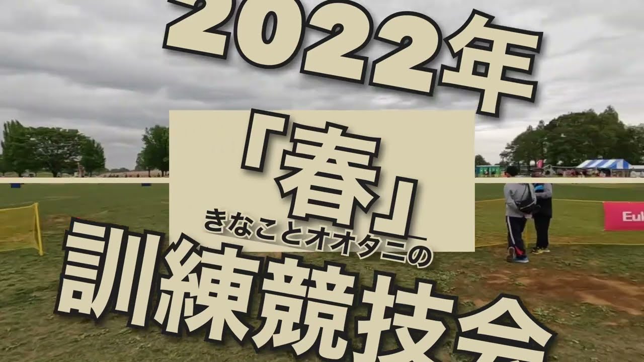 2022年春の訓練競技会！「CD2」きなこもオオタニも調子良好でしたよ！