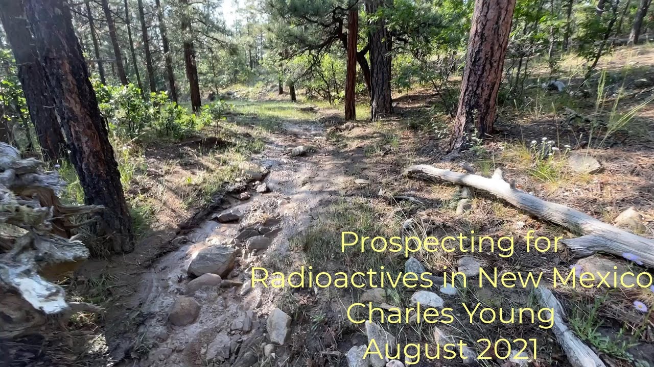 Prospecting for Radioactives in New Mexico - Charles Young August 2021