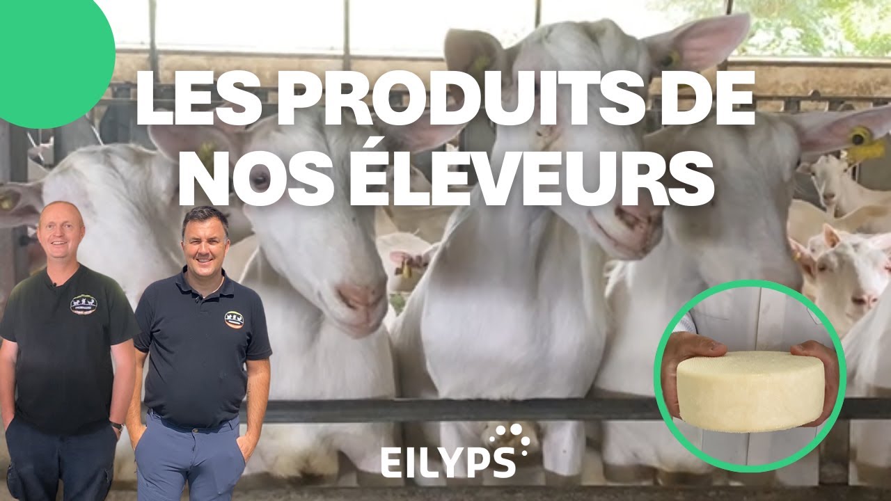 Franck et Vincent - Éleveurs et Transformateurs avec EILYPS