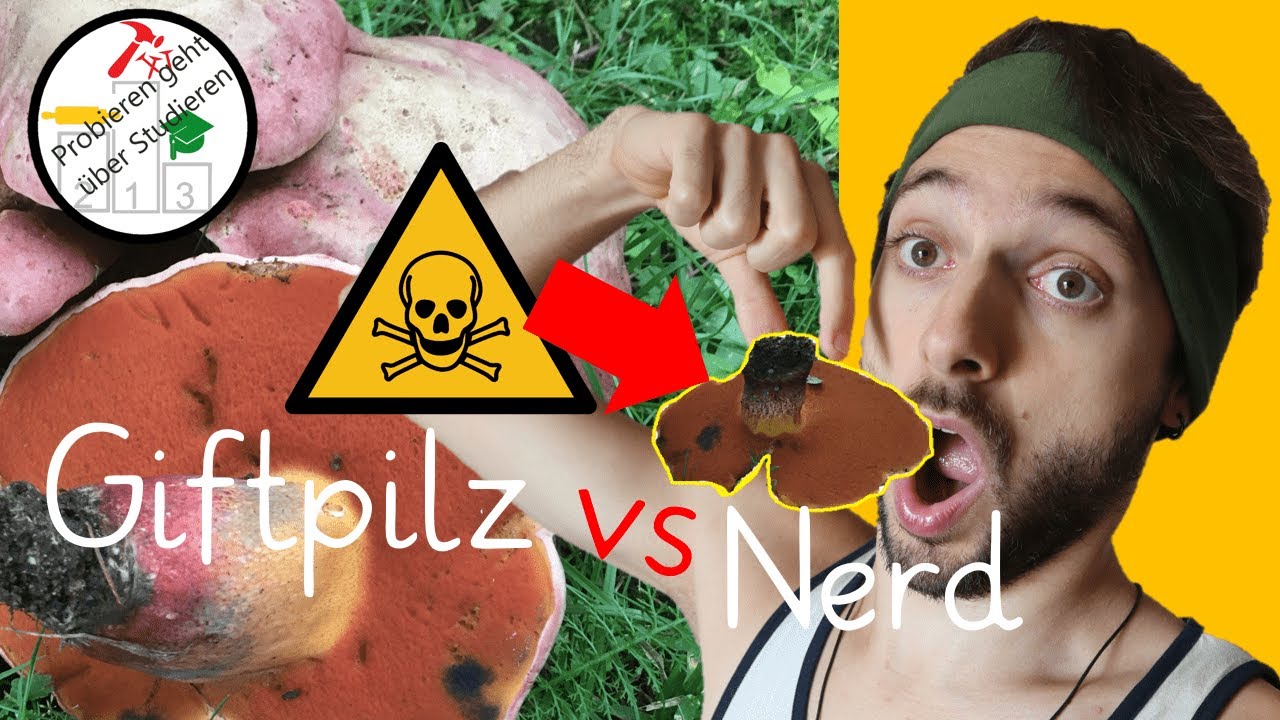 DAS passiert, wenn du einen GIFTPILZ ISST 🤢🍄🤮 (nicht nachmachen!) 😜