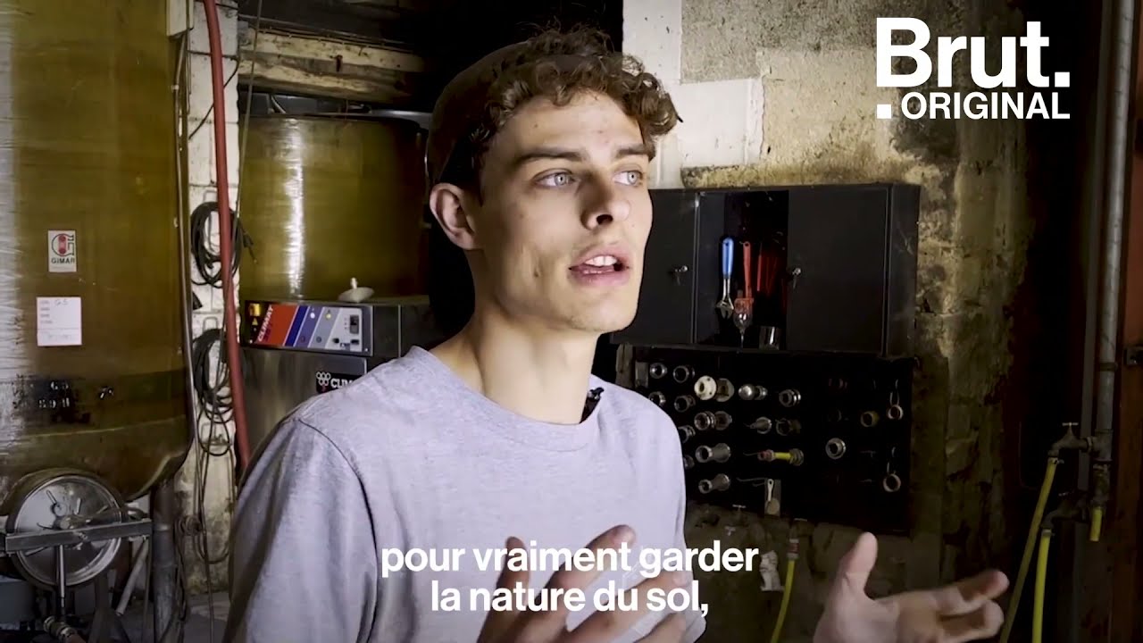 Le quotidien d'Émile, 24 ans, vigneron