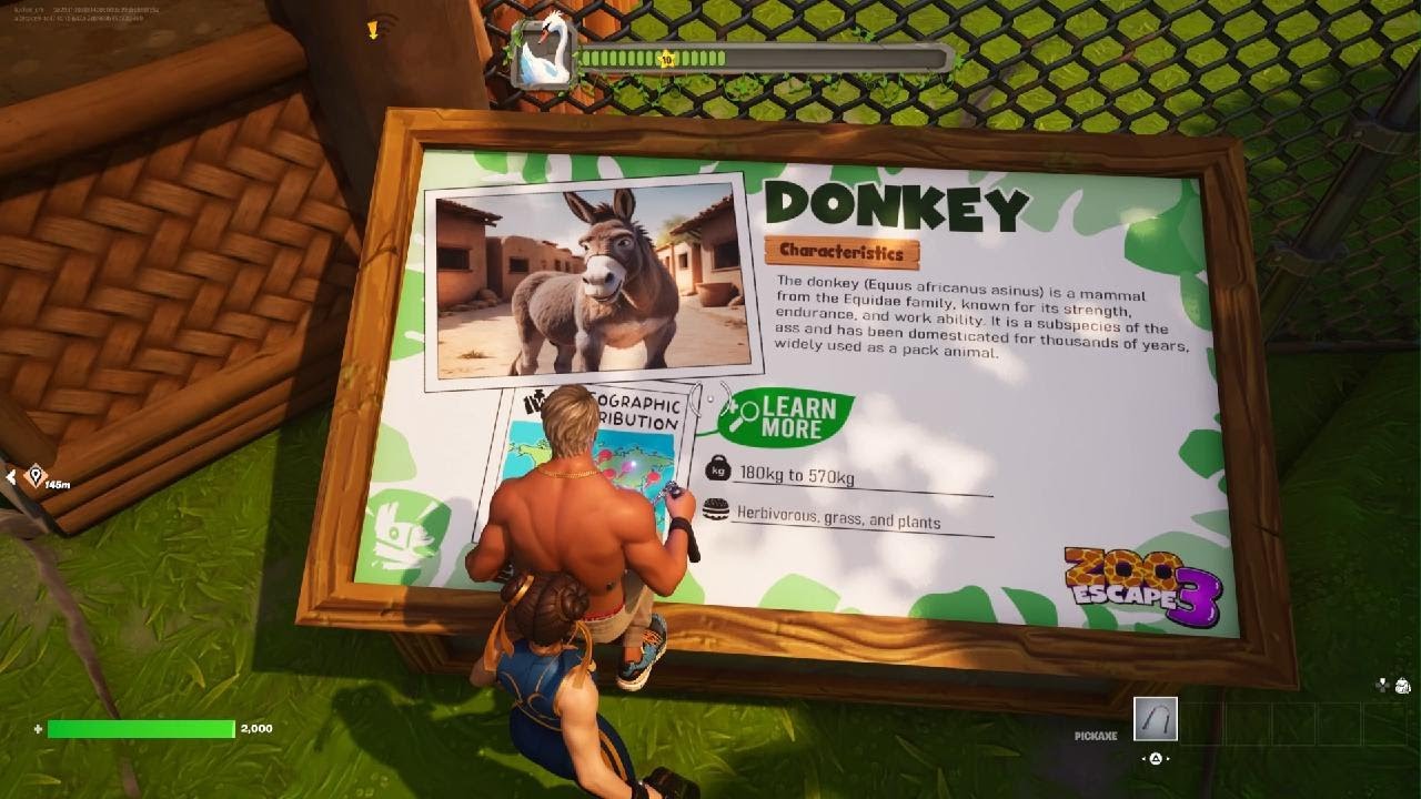 Fortnite X Animal Zoo with Totti