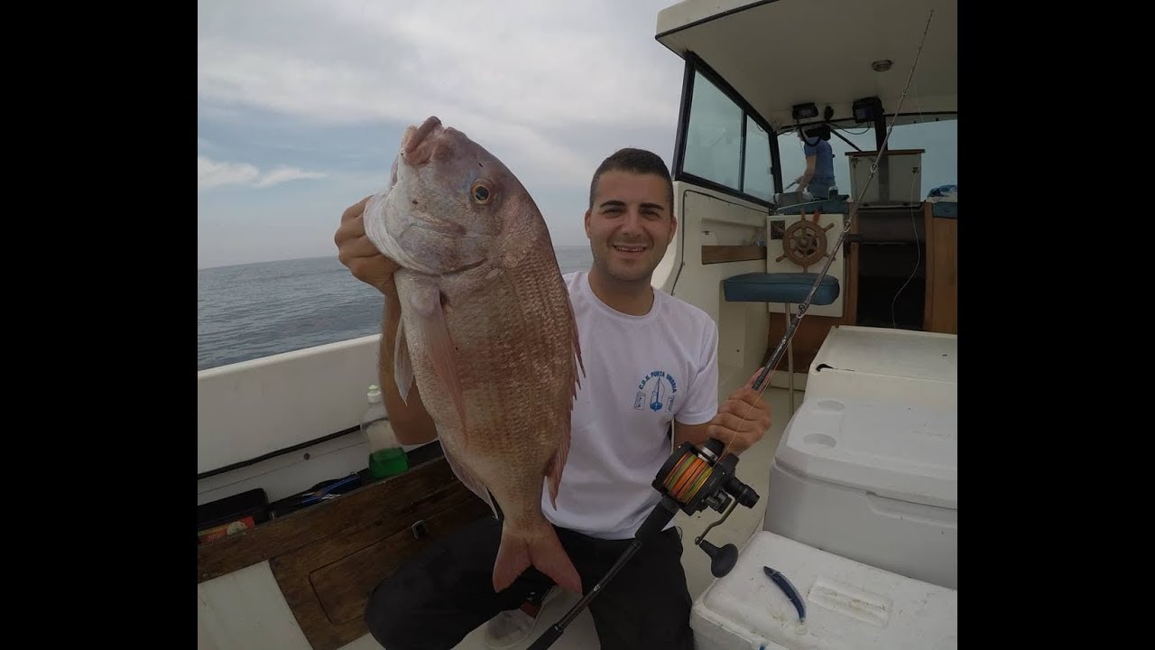 Pargo a light jigging con vinilo.