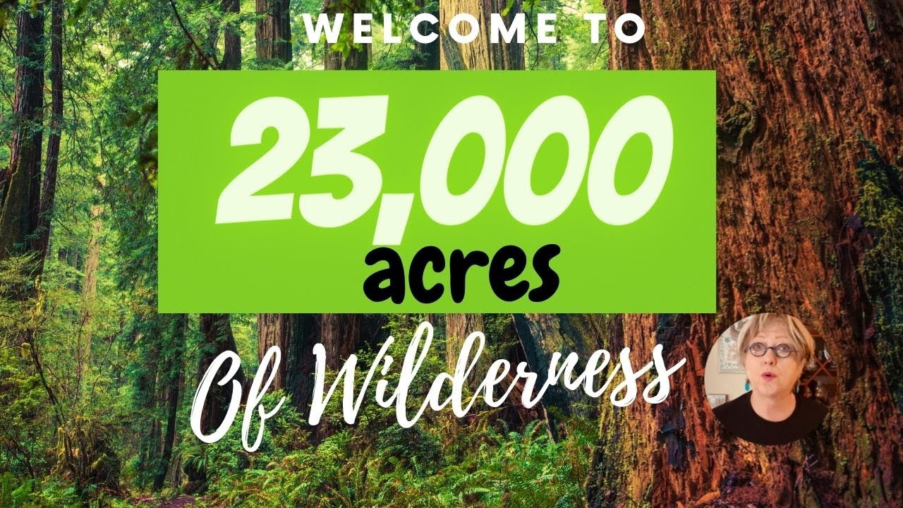 Sleepy Creek Wildlife Management Area