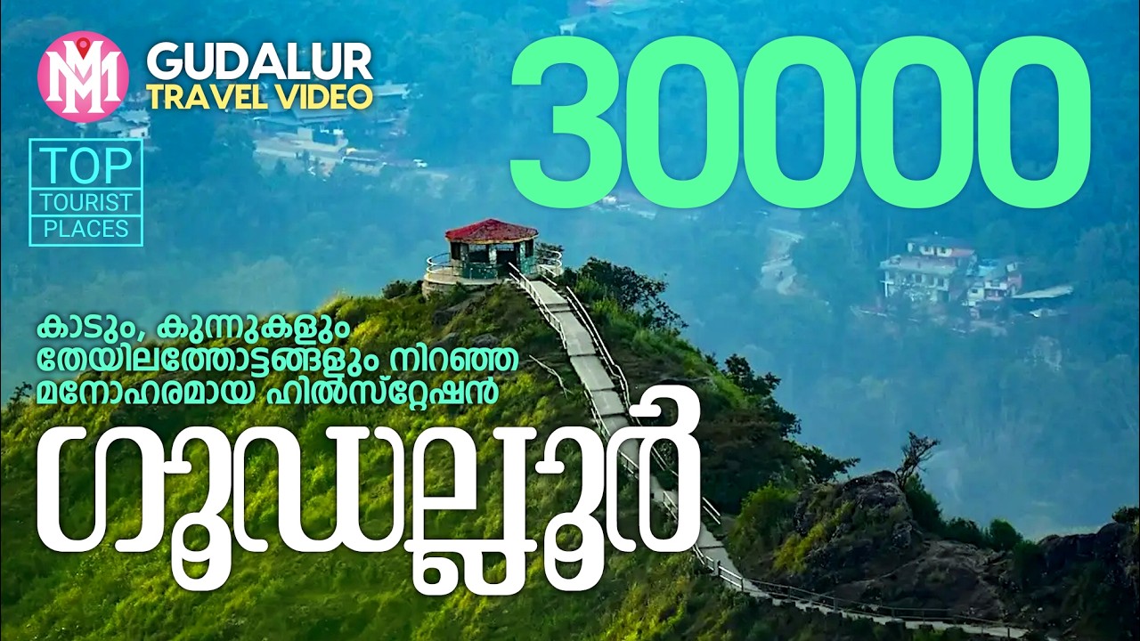 ഗൂഡല്ലൂർ | Gudalur | Gudalur Tourist Places | Ooty Tourist Places | Travel Video | MM Travel Guide