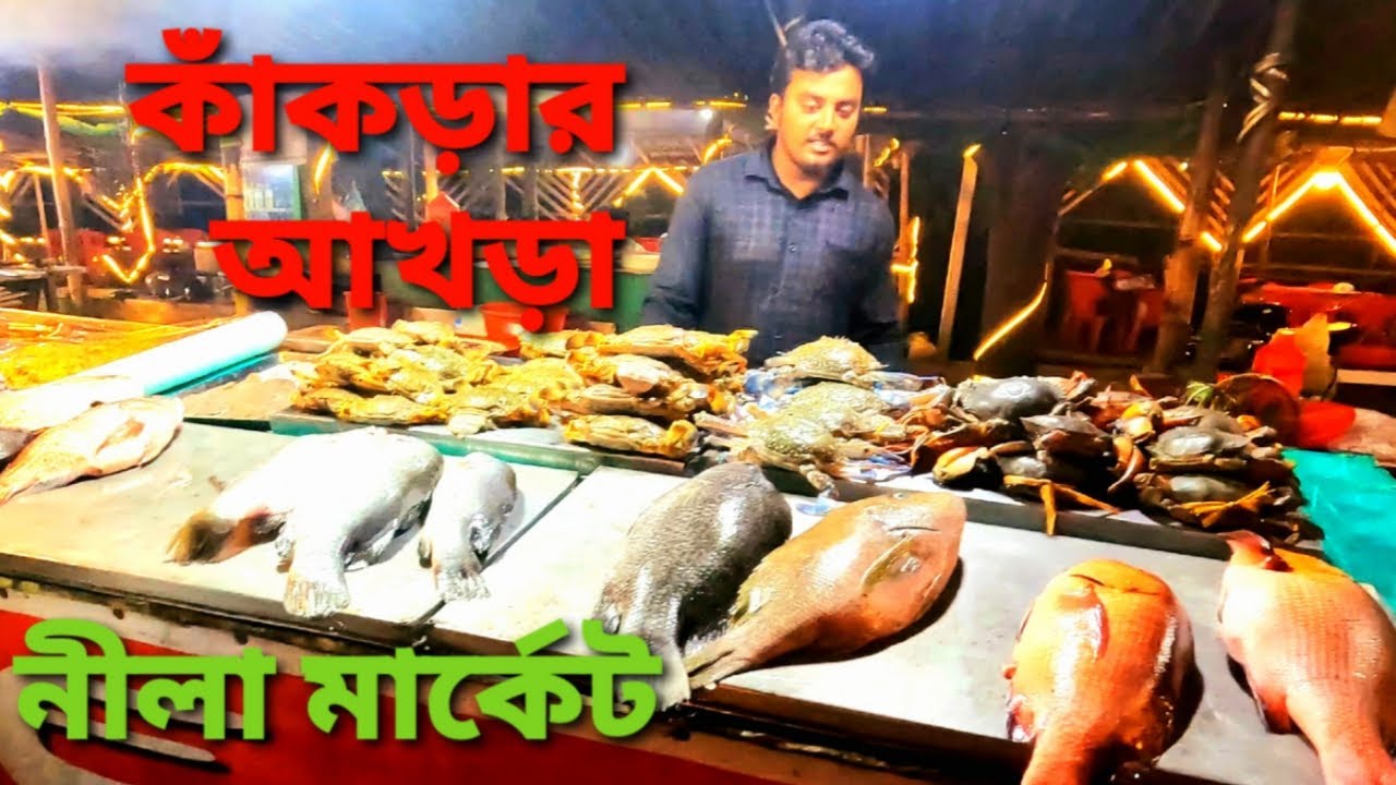 হাঁস কাঁকড়া আর অক্টোপাসের রাজ্য নীলা