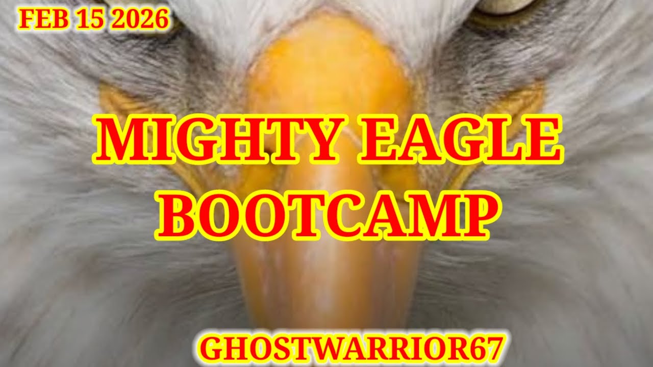 Angry birds 2 Mighty Eagle Bootcamp 2026/02/15 & 2026/02/16 Cleared 7.8,after Daily Challenge 
