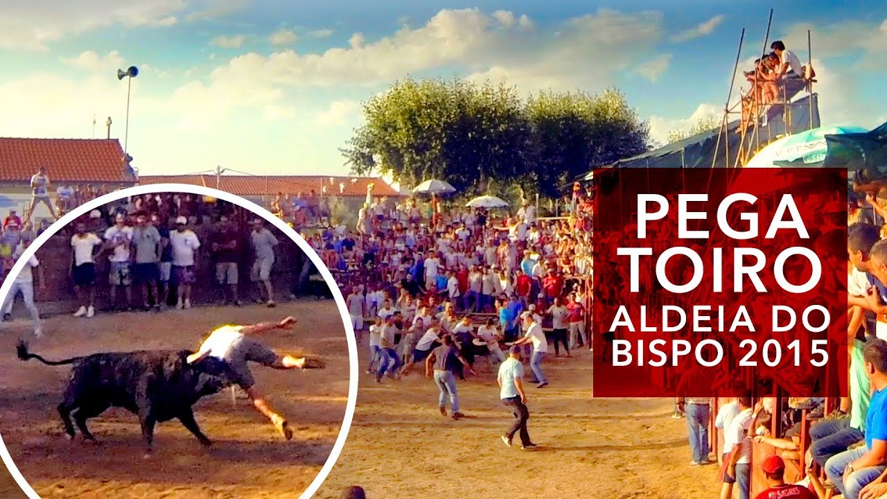Pega de um Toiro na Capeia Arraiana de Aldeia do Bispo 2015